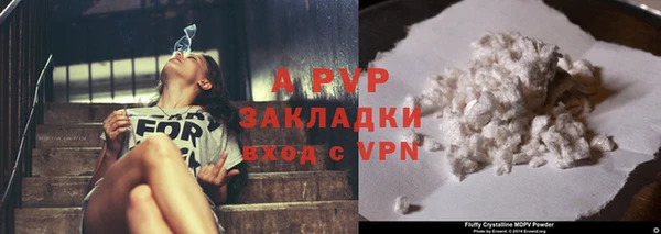 мяу мяу мука Беслан