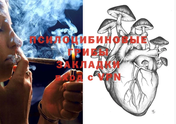 гашик Аркадак