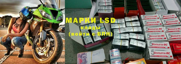 гашик Аркадак