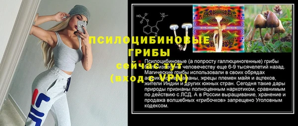 гашик Аркадак