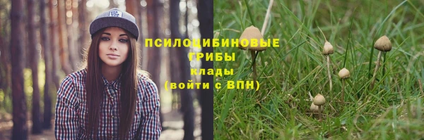 а пвп мука Белая Холуница