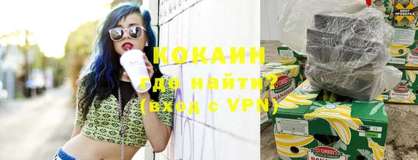 гашик Аркадак